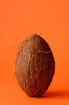 Single whole coconut Foto stock
