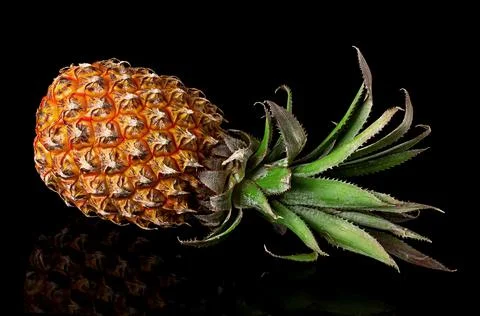Single whole pineapple with reflection lies isolated on black Foto stock