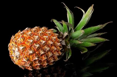 Single whole pineapple with reflection lies rotated Stock Photos