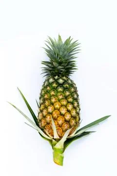 Single whole pineapple on white Stock Photos