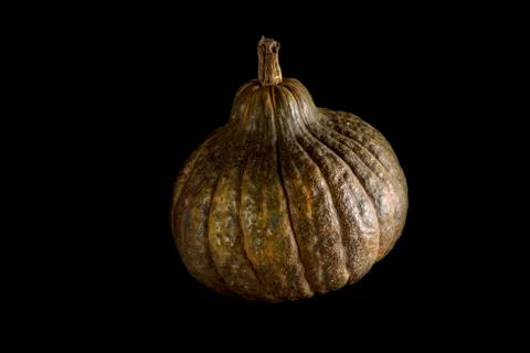 Single whole pumpkin Stock-Fotos