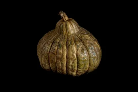 Single whole pumpkin Stock Photos