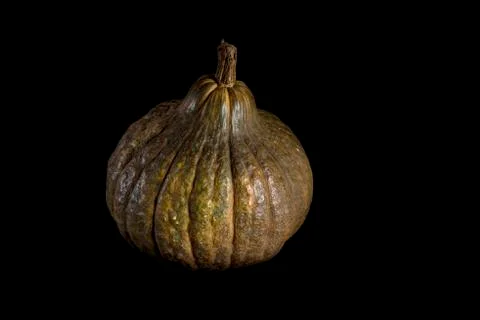 Single whole pumpkin Foto stock