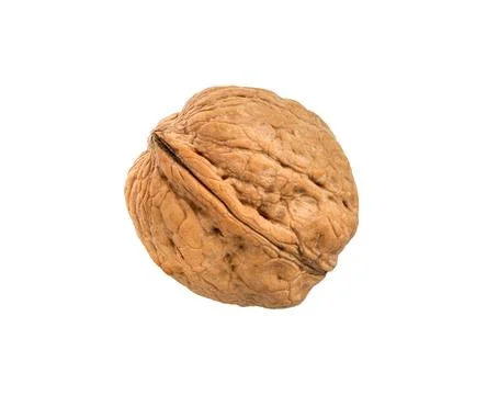 Single whole walnut, close-up Stock Photos