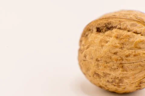 A single whole walnut, showcasing its textured shell against a plain backgrou Fotos de archivo