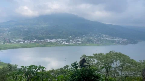 Single Wild Monkey at Scenic Lake Buyan Viewpoint Bali⁠ Stock Footage 336249458