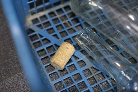Single wine cork standing upright on surface with soft background Foto stock