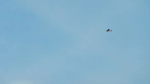 Single Wing Airplane Flyover Stock Footage 11946303