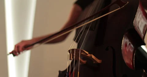 Single woman playing the cello, close-up and medium Stock Footage 240123348