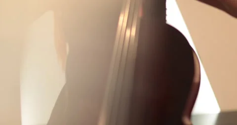 Single woman playing the cello, close-up and medium Stock Footage 240129026