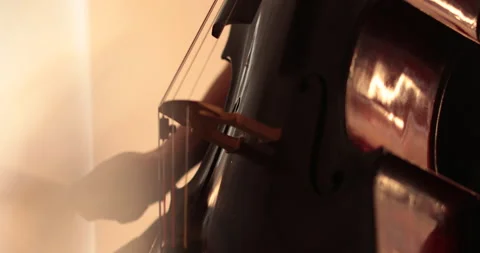 Single woman playing the cello, close-up and medium Stock Footage 240133861