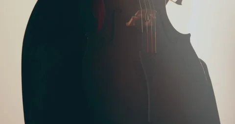 Single woman playing the cello, close-up and medium Stock Footage 240135357