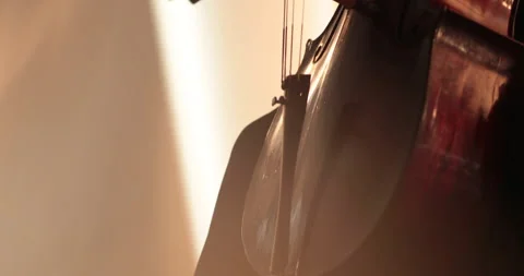 Single woman playing the cello, close-up and medium Stock Footage 240135853