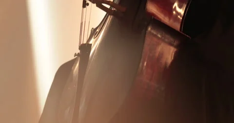 Single woman playing the cello, close-up and medium Stock Footage 240135904