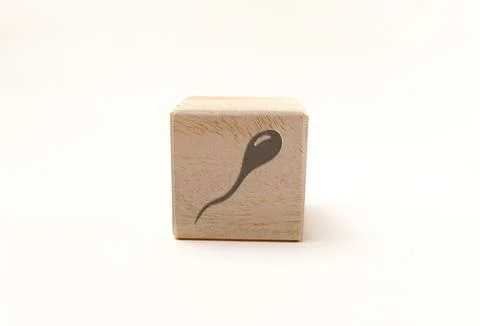 Single wooden block cube featuring a gray sperm cell icon on natural grain .. Stock Photos
