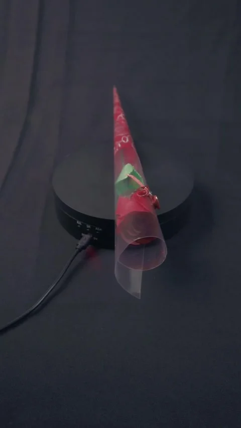 Single Wrapped Red Rose Gift Rotating On Black Turntable Display Video stock 322606715