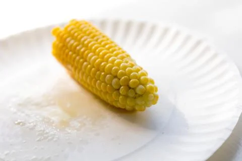Single Yellow Corn On The Cob Sitting On A White Paper Plate On A Picnic Tabl Stock Photos