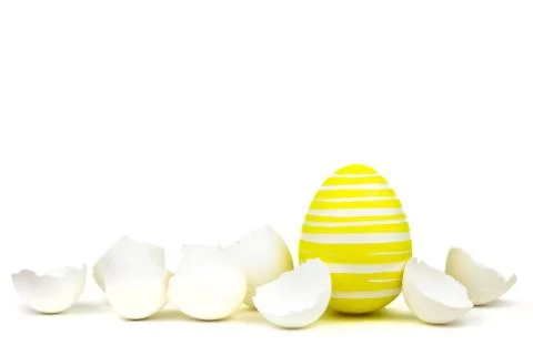 Single yellow easter egg between egg shells isolated on white Stock Photos