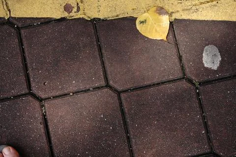 A single yellow leaf rests on interlocking paving stones next to a yellow Stock Photos