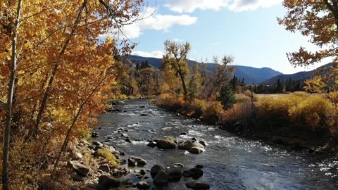 Single yellow leaf in slow motion falling into river in the autumn Stock Footage 143988447