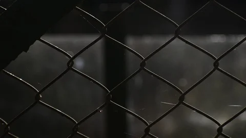 Single yellow maple leaf hanging in metal mesh Stock Footage 121064828