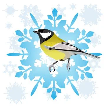 Sinica and snowflake Stock-Illustration