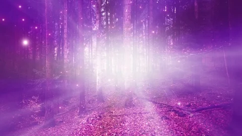 Sining dots with beams in magic surreal forest Stock Footage 123620347