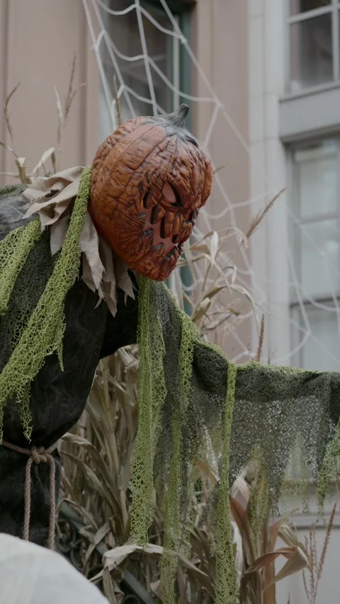 Sinister and chilling Pumpkin Decor to set the mood for an unforgettable Видео 314249149