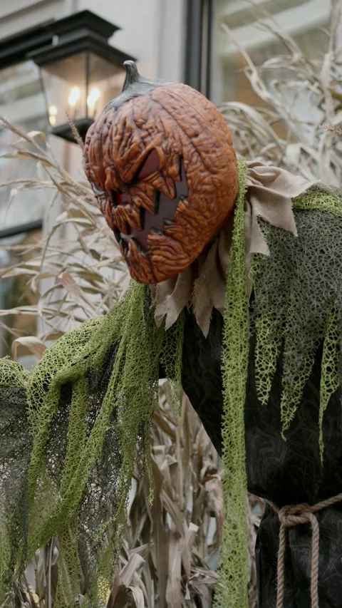 Sinister and chilling Pumpkin Decor to set the mood for an unforgettable Stock Footage 314257995