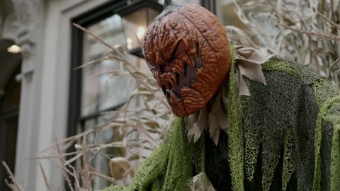 Sinister and chilling Pumpkin Decor to set the mood for an unforgettable Stock Footage 314260109