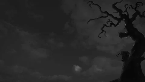 Sinister twisted tree silhouettes under dark cloudy night sky atmospheric Stock-Footage 345138116