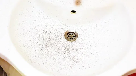 A sink with a drain covered in hair and debris Stock Footage 295817853