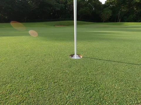Sink Golf Putt 動画素材 256631693