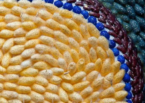 Sink worm cocoons. Stock Photos