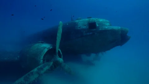 Sinked Plane on the Bottom of Deep Sea Stock Footage 124206225