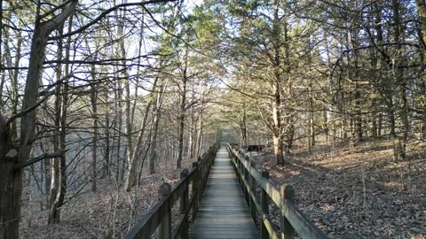 Sinkhole trail Stock Footage 236501404