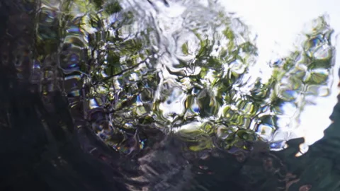 Sinking to the bottom with stunning glare in the mangroves 4K Stock Footage 299921486