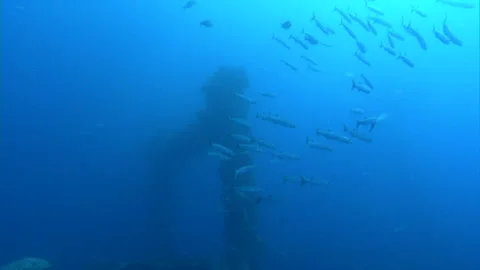 Sinking Ship Stock Footage 332765120
