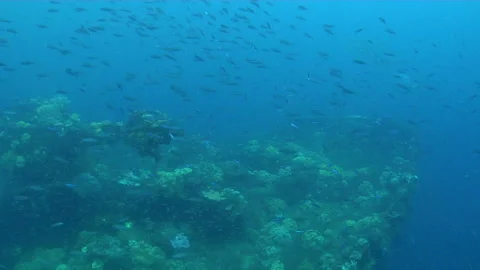 Sinking Ship Stock Footage 332765571