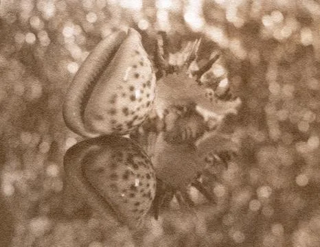 Sinks with reflection on a beautiful blur background. Stock Photos