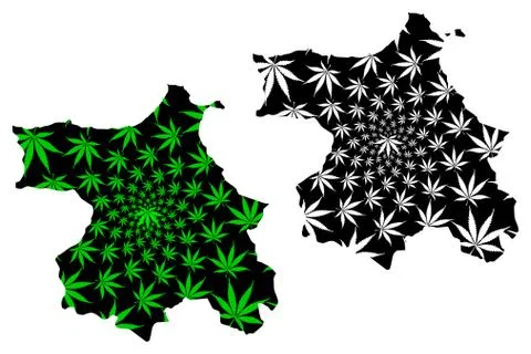 Sinop (Provinces of the Republic of Turkey) map is designed cannabis leaf gre Stock Illustration