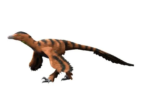 Sinornithosaurus dinosaur. Stock Illustration