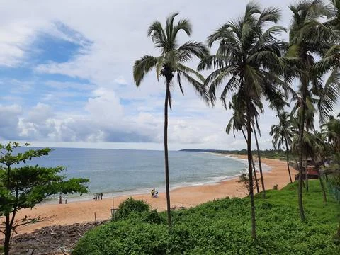Sinquerim Beach in goa. palm trees on the Sinquerim Beach. Stock Photos