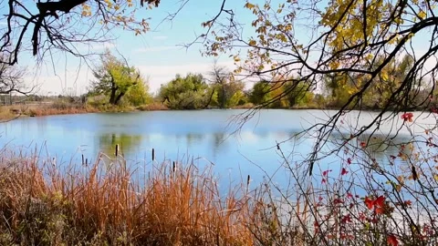 Sinton pond 1 Video stock 273179005