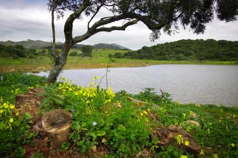 Sintra landscape Stock Photos