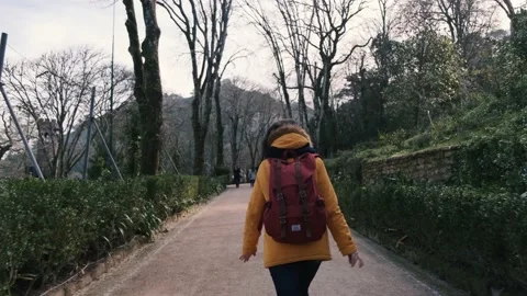 Sintra park Stock Footage 131592520