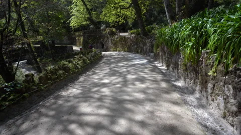 Sintra Pathways Video stock 208155422