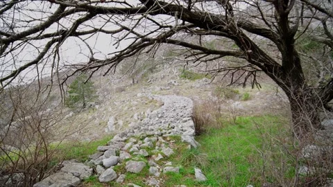 Sinuous dry stone path on a rocky limestone hillside, ground level Stock Footage 327013688