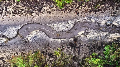 Sinuous Rainwater Stream Cutting Through Sand and Vegetation Stockbeeldmateriaal 347704481
