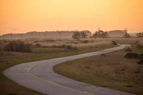 Sinuous road Stock Photos